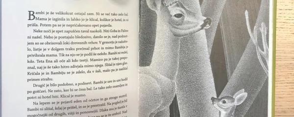 

Bambi spozna kneza Starega, za katerega le slutimo, da je njegov 
oče. 