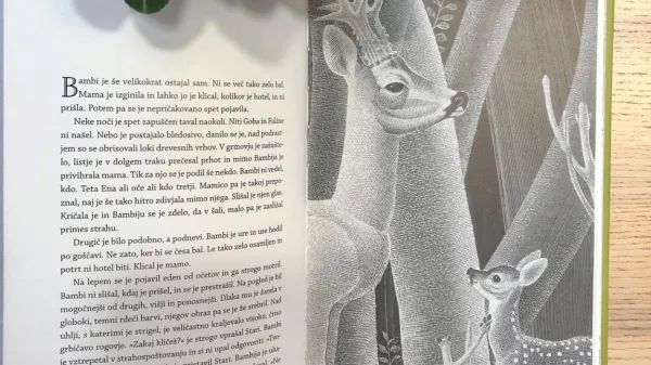 

Bambi spozna kneza Starega, za katerega le slutimo, da je njegov 
oče. 