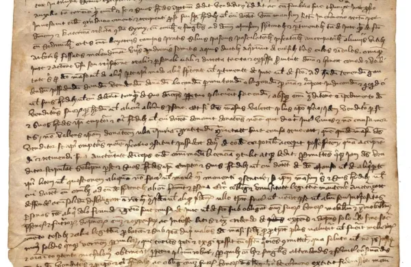  675 let stara listina (12. april 1348,  Krmin), ki jo  je sestavil notar 
Petrus, imenovan Hermacoras iz Ogleja, po cesarski avtoriteti 
javni notar, je shranjena v fondu SI_PAK/0335_00001.  


