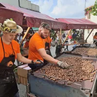 Rodičani so za obiskovalce nabrali in spekli skoraj tono domačega 
kostanja.