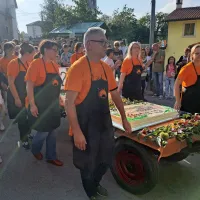 Kostanja je bilo letos nekoliko manj, a je šel za med (FOTO)