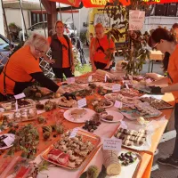 Kostanja je bilo letos nekoliko manj, a je šel za med (FOTO)