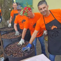 Kostanja je bilo letos nekoliko manj, a je šel za med (FOTO)