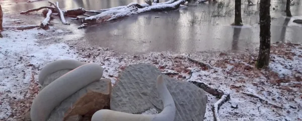 Skorajda magični prizor iz Mitskega parka Rodik