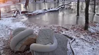 Skorajda magični prizor iz Mitskega parka Rodik