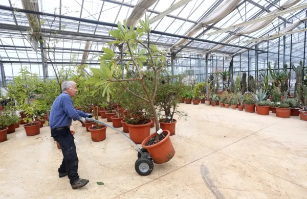 Sredozemske rastline znova v Škocjanu