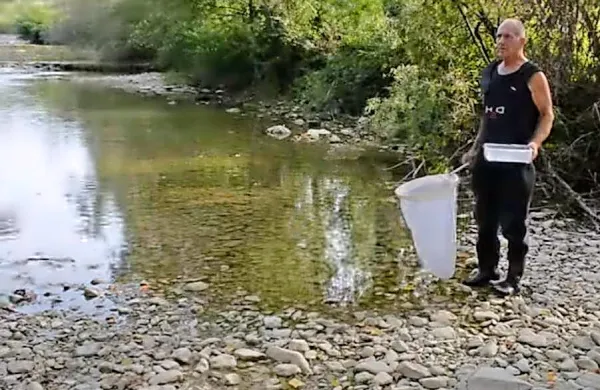 Ribiči iz Ribiške družine Koper opozarjajo na dolgoročne posledice 
zamuljevanja Rižane. 