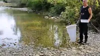 Ribiči iz Ribiške družine Koper opozarjajo na dolgoročne posledice 
zamuljevanja Rižane. 