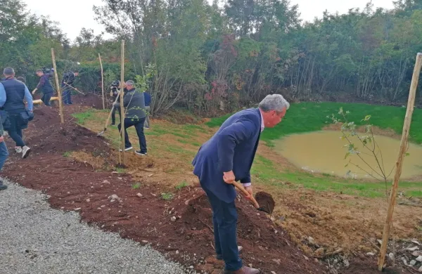 Ob kalu  v Vojščici so včeraj  posadili  pet dreves avtohtone vrste 
poljski javor.