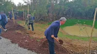 Ob kalu  v Vojščici so včeraj  posadili  pet dreves avtohtone vrste 
poljski javor.