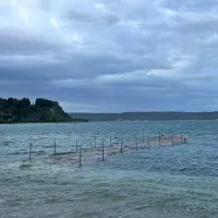 “Ni se še zgodilo, da bi ob takšni poplavi Tartinijev trg ostal suh” (FOTO+VIDEO)