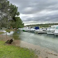 “Ni se še zgodilo, da bi ob takšni poplavi Tartinijev trg ostal suh” (FOTO+VIDEO)