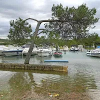 “Ni se še zgodilo, da bi ob takšni poplavi Tartinijev trg ostal suh” (FOTO+VIDEO)