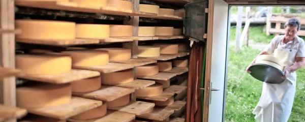 Sira nikakor  ni mogoče enačiti z mlekom, so poudarili sirarji na 
kulinaričnem srečanju ob Osojskem jezeru.