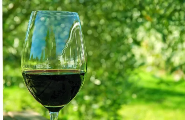 Čas za pokušino mladega vina