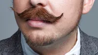 Movember z zaščitnim znakom brkov je mednarodni mesec ozaveščanja 
in  boja z vrstami  raka, za katerimi najpogosteje obolevajo moški.  