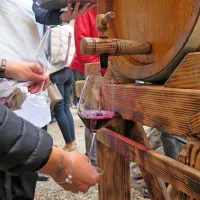 Za vse, ki živijo od grozdja in vina, ter za vse ljubitelje vina, je martinovo velik praznik. 