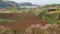 Letošnji oktober se bo v zgodovino meritev zapisal kot rekordno topel in nadpovprečno namočen. A tudi 
začetek novembra je po temperaturah nad dolgoletnim povprečjem.
