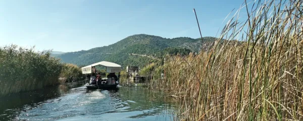Vožnja po labirintu vodnih poti, nato pa še postanek v sadovnjaku
in ročno pobiranje mandarin je že skoraj tri desetletja uspešen
turistični produkt, ki privablja skupine iz cele Evrope, največ iz
Slovenije.