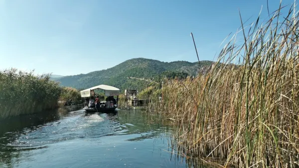 Vožnja po labirintu vodnih poti, nato pa še postanek v sadovnjaku 
in ročno pobiranje mandarin je že skoraj tri desetletja uspešen 
turistični produkt, ki privablja skupine iz cele Evrope, največ iz 
Slovenije.