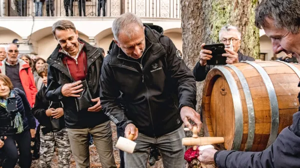 Martinovanje na Krasu privabilo rekordno število obiskovalcev (FOTO)