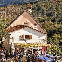 Martinovanje na Krasu privabilo rekordno število obiskovalcev (FOTO)