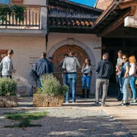 Martinovanje na Krasu privabilo rekordno število obiskovalcev (FOTO)