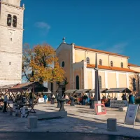 Martinovanje na Krasu privabilo rekordno število obiskovalcev (FOTO)