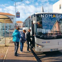 Martinovanje na Krasu privabilo rekordno število obiskovalcev (FOTO)