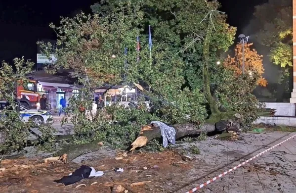 Petkova  Martinova  furenga se je  končala tragično.  Stara lipa je  pod  
seboj  pokopala  73-letno  domačinko. 