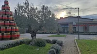 Večina malih družbenikov Vinakopra naj bi se odločila za prodajo svojih deležev. 