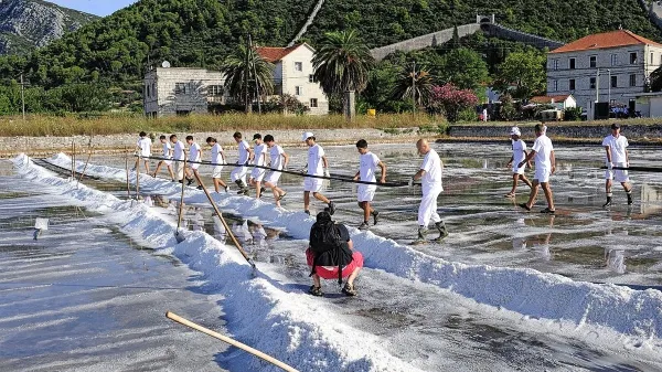 Soline v Stonu so bile eden najpomembnejših virov denarja za 
Dubrovniško republiko.