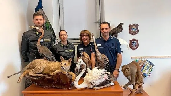 Finančni policisti in cariniki z delom zaseženega tovora