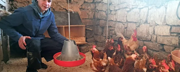 Luka Biščak na kmetiji svojega starega očeta v Neverkah goji 
avtohtono pasmo slovenske štajerske kokoši in drugo perutnino.
