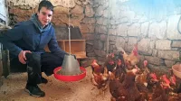 Luka Biščak na kmetiji svojega starega očeta v Neverkah goji 
avtohtono pasmo slovenske štajerske kokoši in drugo perutnino.