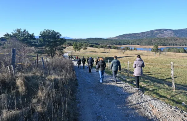 Z naravovarstvenim projektom Pivka.kras.presiha bo pivška občina izboljšala stanja določenih vrst in 
življenjskih prostorov na širšem območju pivških presihajočih jezer.