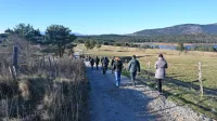 Z naravovarstvenim projektom Pivka.kras.presiha bo pivška občina izboljšala stanja določenih vrst in 
življenjskih prostorov na širšem območju pivških presihajočih jezer.