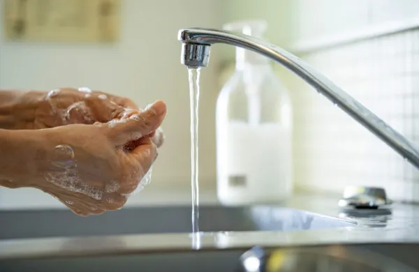 V času koronavirusa se je povečala uporaba antibakterijskih mil, a 
naj povemo, da tudi navadna mila dobro odstranjujejo nečistoče 
in zmanjšujejo število nevarnih mikroorganizmov.