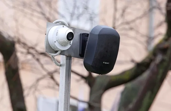 Bodo v letu 2024 nadzorovali tudi ekološke otoke po Sežani?
