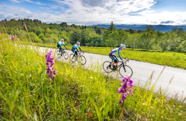 V občini Ilirska Bistrica želijo ob državni kolesarski povezavi D7 
razviti dodatno turistično ponudbo.