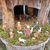 V Štanjelu lov na jaslice (FOTO)