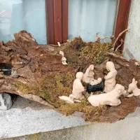 Jaslice na okenski polici v Štanjelu.