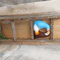 V Štanjelu lov na jaslice (FOTO)