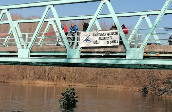 Renče: pod starim mostom tudi letos visi jelka, ki je okrasje dobila v vodi
