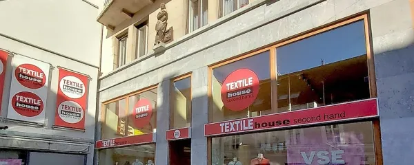 V preteklosti smo v jeziku nemčevali, zdaj pa radi in najrajši angležujemo