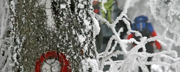 Slovenska planinska pot je za marsikoga izziv tudi v zimskih mesecih. 