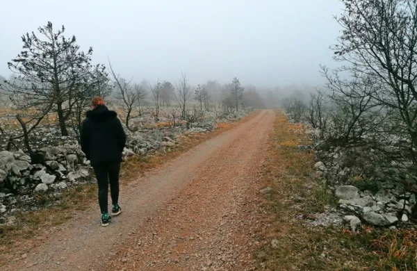      V prihodnjih dneh bodo sprehodi v naravi bolj prijetni, več bo 
sonca, bo pa hladneje.  