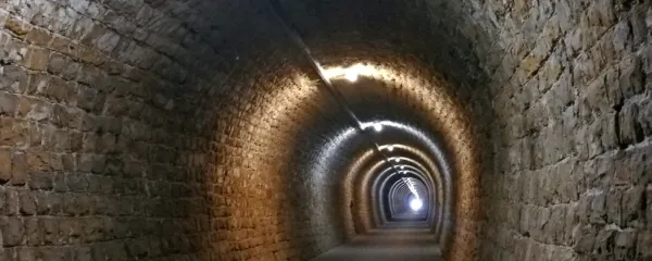 V slovenski (davčni) oazi nič novega