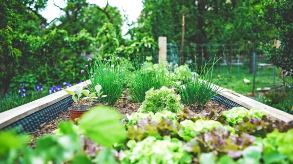 Permakultura pomeni način življenja, ne samo vrtičkanja ali 
kmetovanja, saj se s tem sistemom vzpostavljajo trajnostni vzorci 
življenja.
