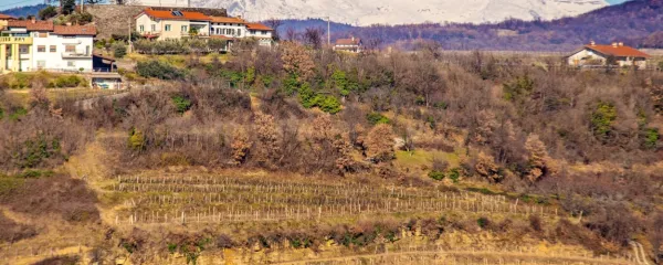 Za Vedrijan se pne mogočno kaninsko pogorje.